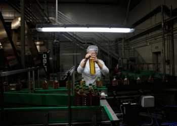 İspanyol zeytinyağı sektörü tehdit altında: ABD vergileri Türkiye’nin elini güçlendiriyor