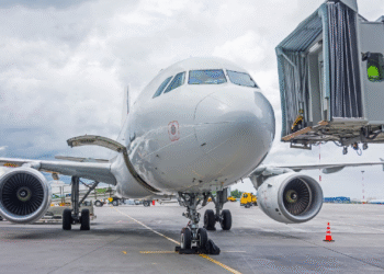 Türk Hava Yolları, İstanbul Depremi Sonrası Rus Yolculara Kolaylık Sağladı