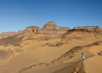 Antik DNA, Sahra Çölü’nün Yeşil Geçmişini Ortaya Çıkardı