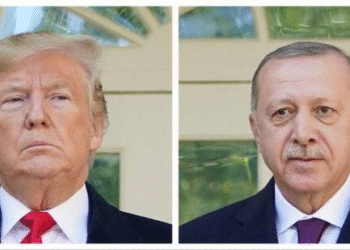 Trump dönemi diplomasisi Türkiye’nin manevra alanını genişletiyor