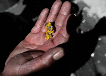 Peru’da madende katliam: 13 madenci kaçırılıp infaz edildi